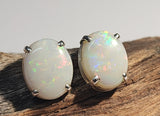 A4335 Solid Opal Sterling Silver Stud Earrings