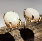 A5247 Sterling Silver Solid Opal Earrings