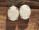 A4335 Solid Opal Sterling Silver Stud Earrings