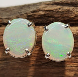 A0922 Solid Opal Sterling Silver Stud Earrings