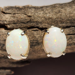 A5247 Sterling Silver Solid Opal Earrings