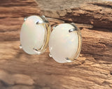 A4335 Solid Opal Sterling Silver Stud Earrings